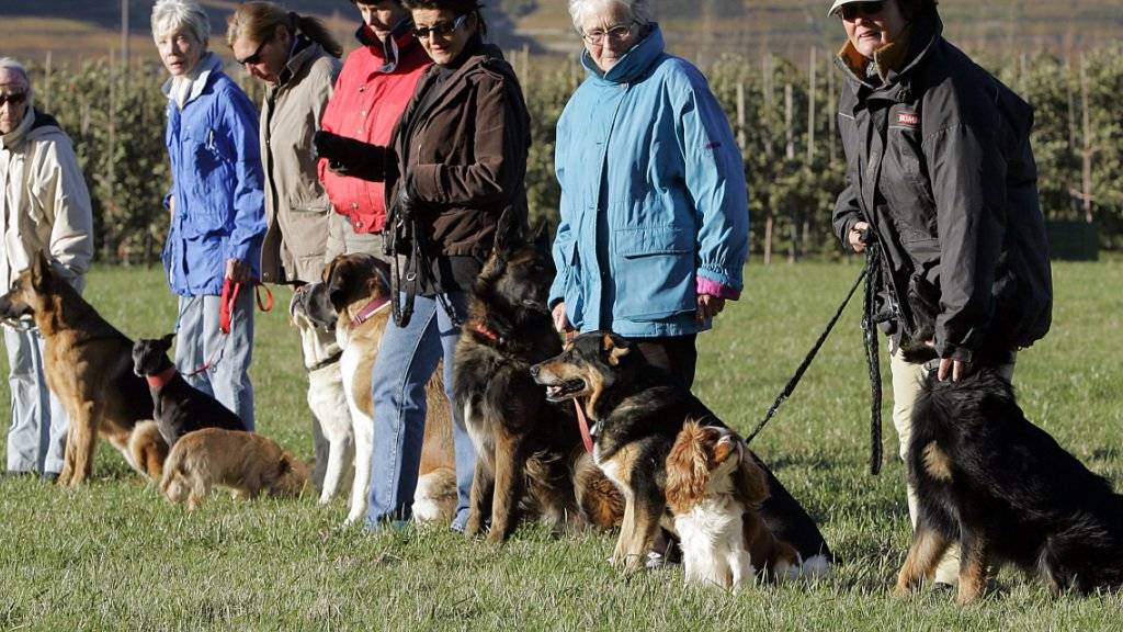 Die Walliser Regierung befürwortet die Wiedereinführung der obligatorischen Kurse für Hundehalter. (Archivbild)