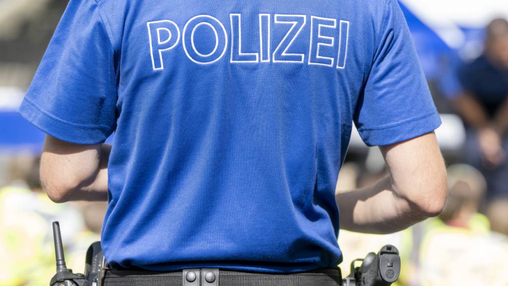 Die Luzerner Polizei stand am Dienstagabend nach einem Unfall bei der Autobahnausfahrt Sempach im Einsatz. (Symbolbild)