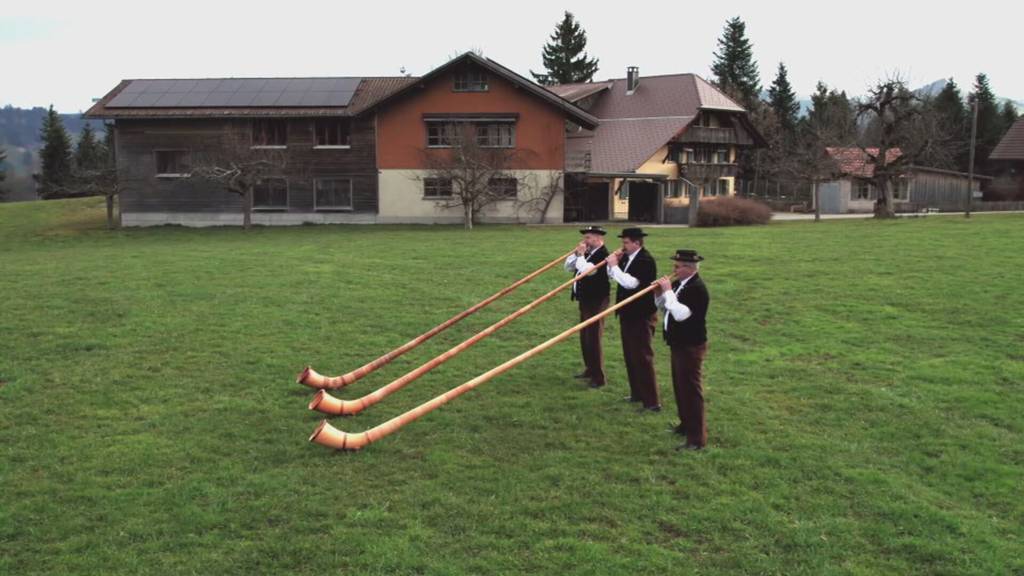 Filmemacher Alain Hospenthal zeigt das alte Handwerk des Alphornbaus