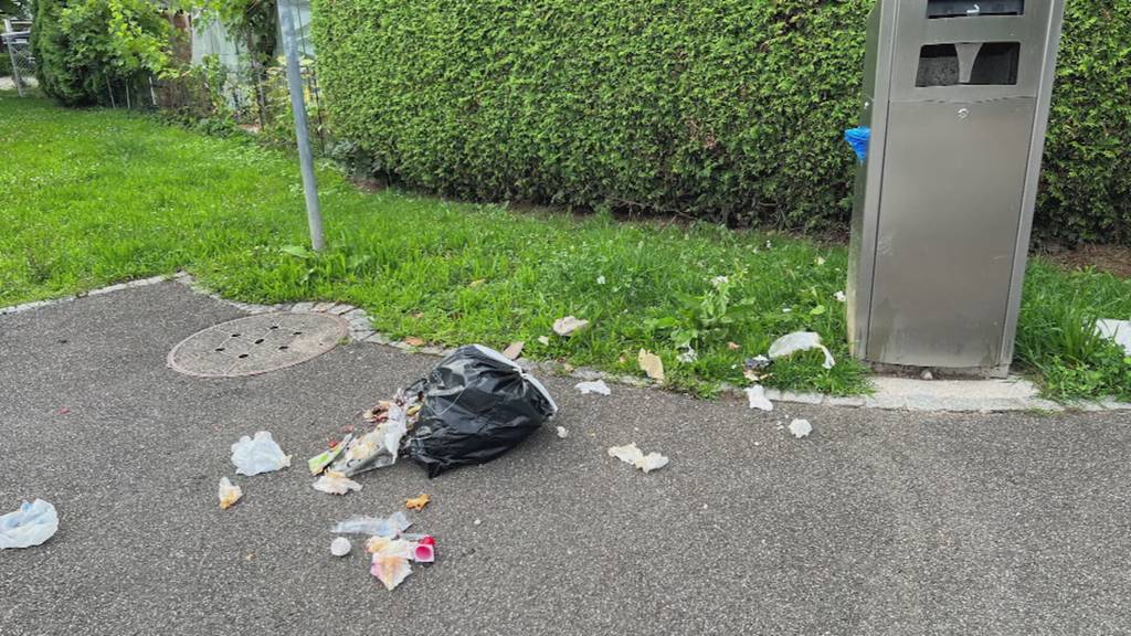 Kopfgeld: Gemeinde Stein will Abfallsünder entlarven