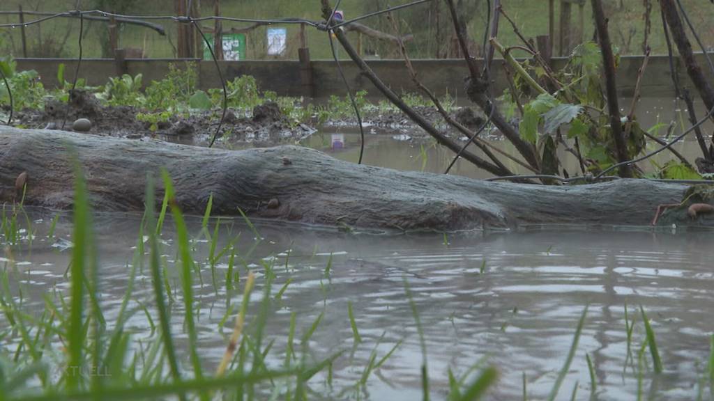Hochwasser: Für Aare, Reuss und Limmat besteht jetzt erhebliche Hochwassergefahr