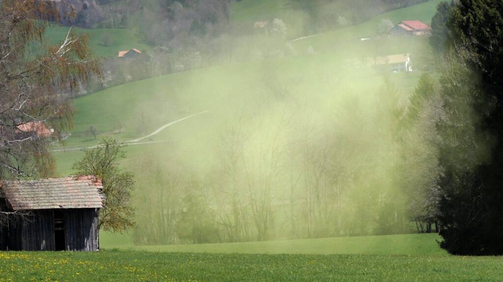 Klimawandel lässt Heuschnupfenfälle in der Schweiz explodieren