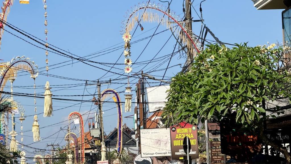 Vor Häusern, Geschäften und Tempeln sind im Ort Ubud die charakteristischen Penjor aufgestellt - mehrere Meter hohe, geschwungene Bambusstangen, die mit Palmblättern und anderen Naturmaterialien geschmückt sind. Foto: Carola Frentzen/dpa