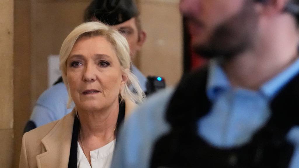 Verteidigung will Freispruch für Rechtspopulistin Le Pen