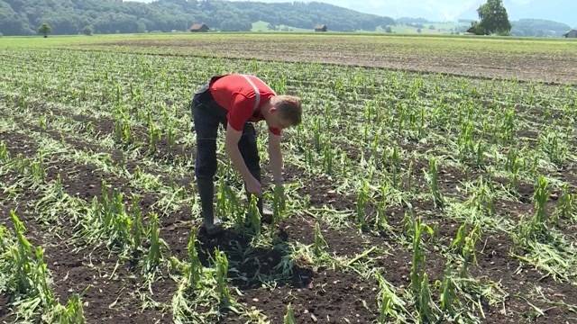 Bern von Unwetter heimgesucht