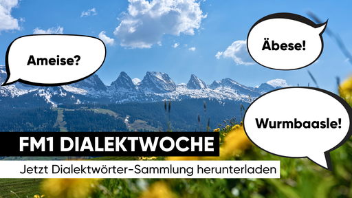 Die Top 100 Dialektwörter aus dem FM1-Land – gesammelt von euch