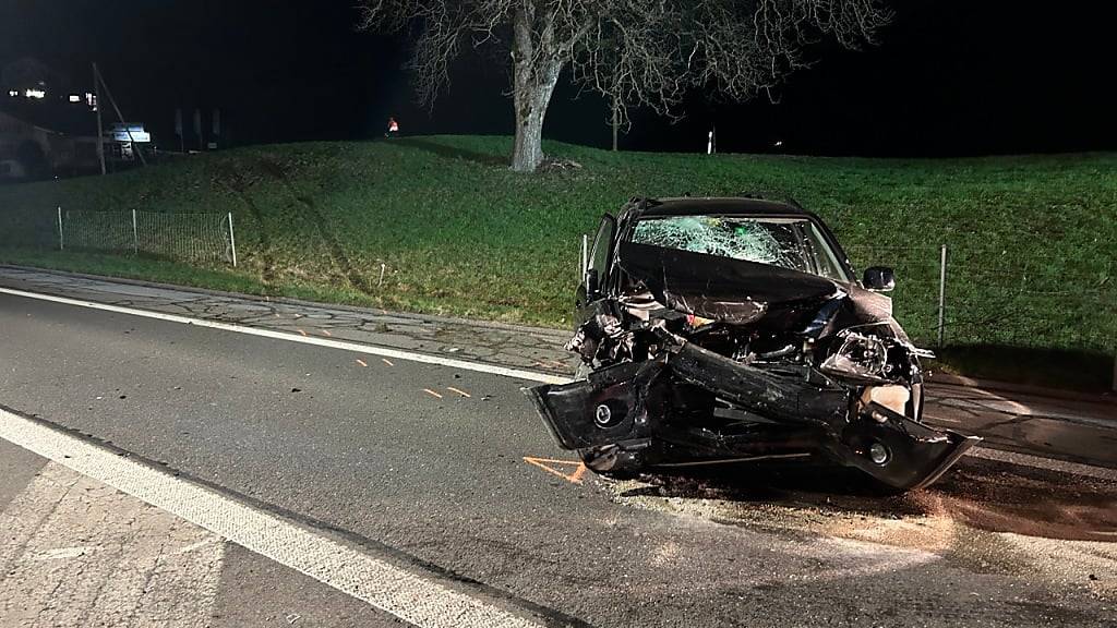 Autofahrer stirbt nach Kollision auf A8 bei Sarnen