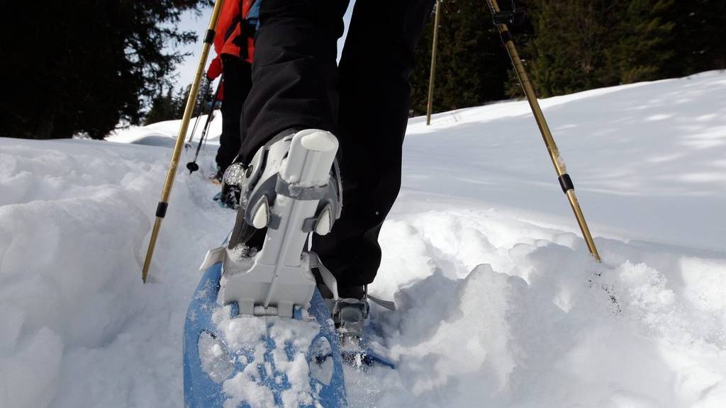Schneeschuhwanderer sind im alpinen Gebiet häufig abseits der Strecken unterwegs.