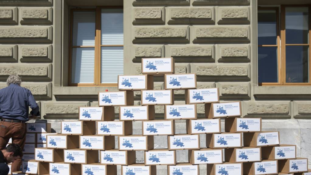 Mitglieder des Initiativkomitees stapeln die Kartons mit den Unterschriften für die Massentierhaltungsinitiative bei der Bundeskanzlei in Bern auf.