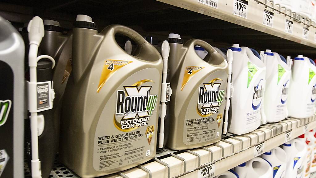 Der von Bayer aufgekaufte US-Chemiekonzern Monsanto ist in den USA erneut wegen des glyphosathaltigen Unkrautvernichters Roundup zu einer hohen Schadenersatzzahlung verurteilt worden. (Archivbild)