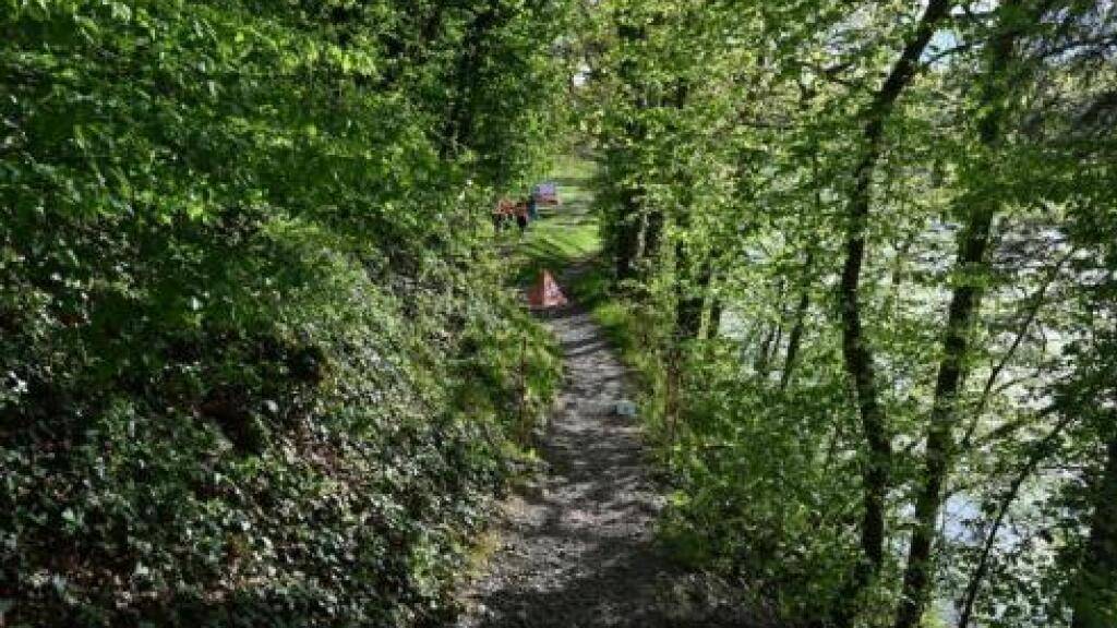 Ein E-Mountainbike-Fahrer stürzt bei Ellikon am Rhein ins Wasser und wird dabei schwer verletzt.
