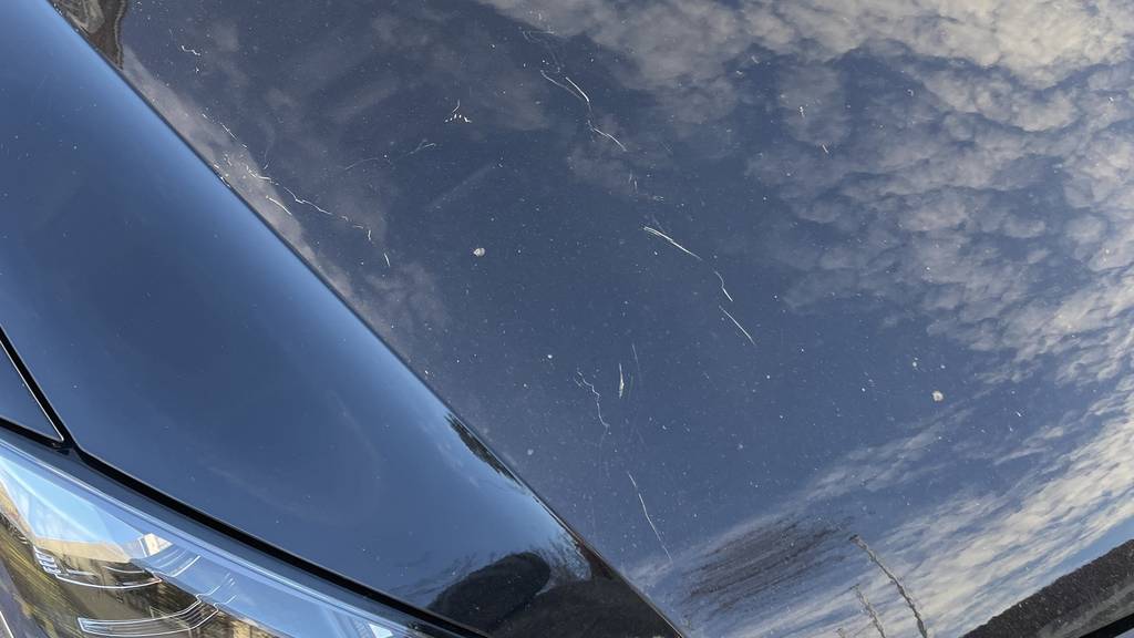 Unbekannte beschädigen in Muri Autos mit eiergrossen Steinen