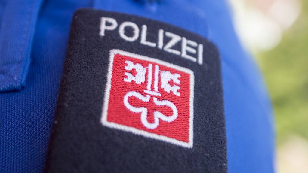 Der Alpinen-Einsatz-Gruppe der Nidwaldner Kantonspolizei gelang eine tierische Rettung. (Symbolbild)