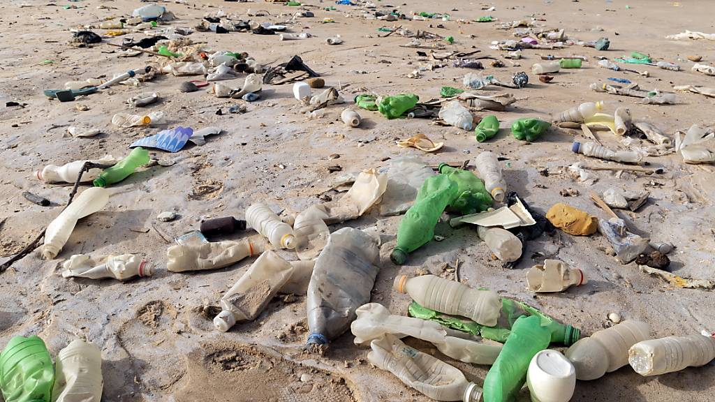 Plastik soll eher vermieden als aufgeräumt werden, forderten Umweltorganisationen. (Archivbild)