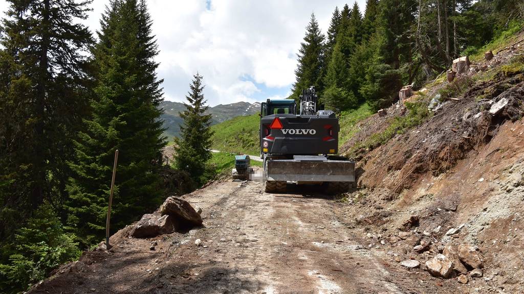 Der Mann war zsuammen mit Arbeitskollegen unterhalb der Alp Ruschein mit Strassenbauarbeiten beschäftigt.