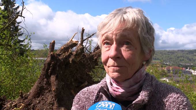 «Der Baum hat das gespürt»: Sturm kam Fällung von 150-jähriger Linde zuvor
