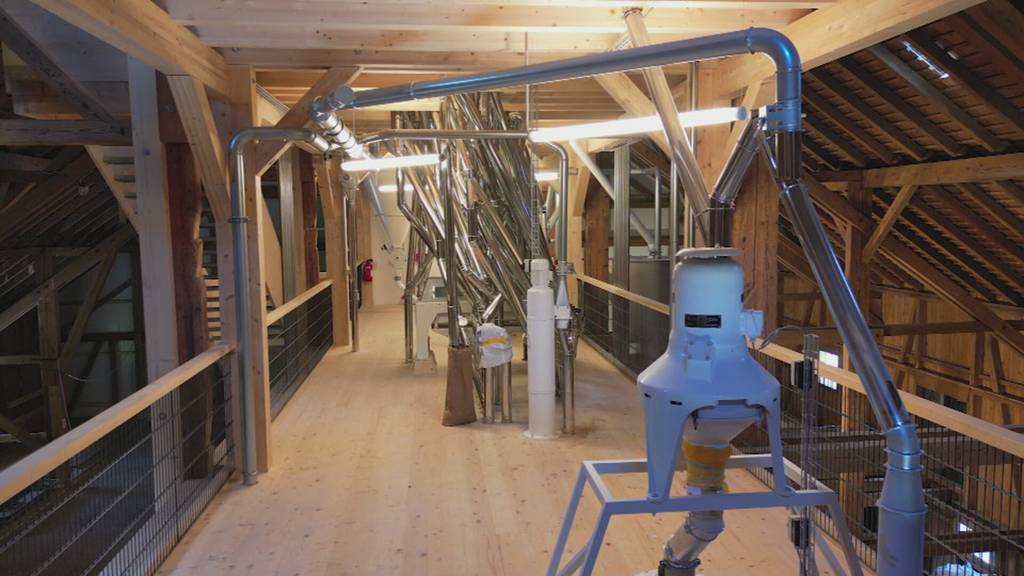 Toggenburger Tradition: Alpsteinmühle in Nesslau erinnert an goldene Zeiten des Getreideanbaus