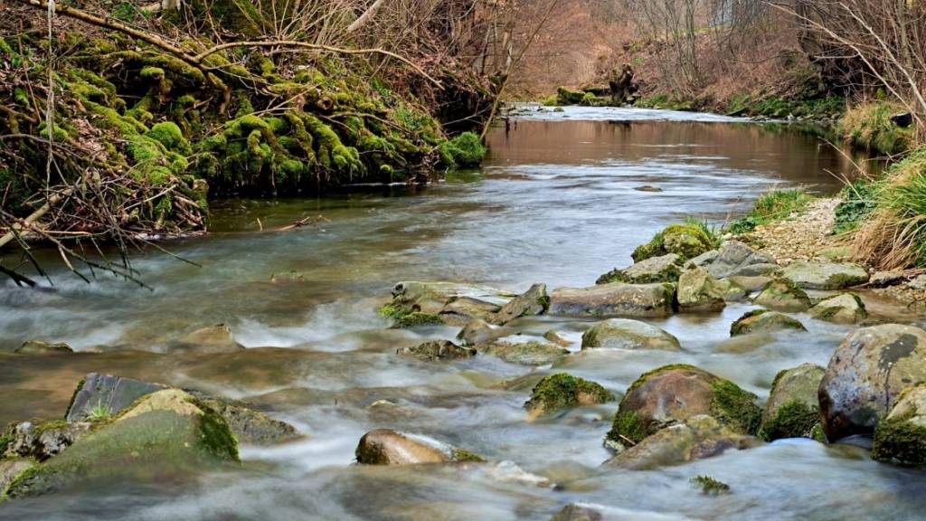 Die Wasserqualität hat sich in der Glatt zwar verbessert. Noch immer gibt es aber zu viele Mikroverunreinigungen, die auch von den aufgerüsteten Abwasserreinigungsanlagen nicht herausgefiltert werden können.
