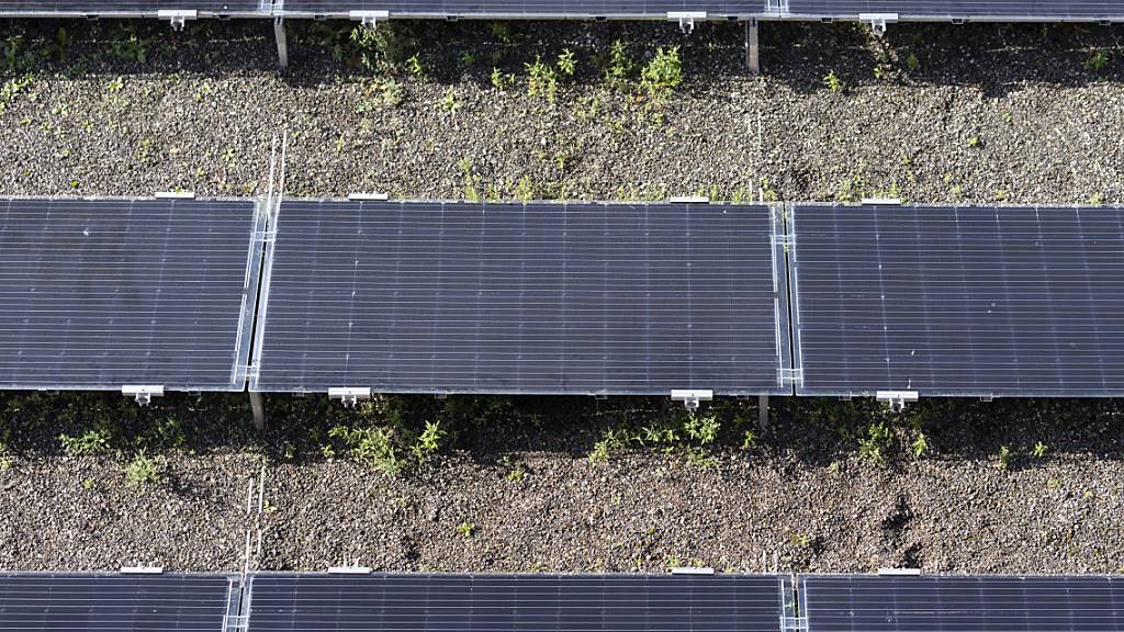Solarenergie könnte gemäss Zürcher Baudirektion im Kanton Zürich bei der Stromversorgung eine Schlüsselrolle einnehmen. (Symbolbild)