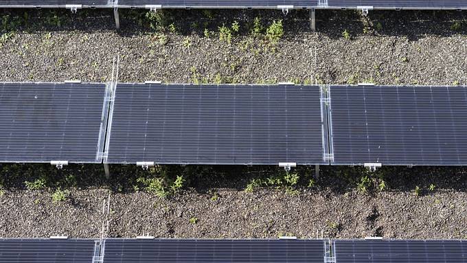 Kanton Zürich spricht Solarstrom «eine Schlüsselrolle» zu
