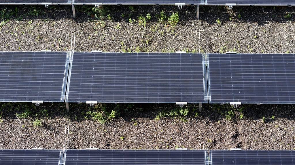 Solarenergie könnte gemäss Zürcher Baudirektion im Kanton Zürich bei der Stromversorgung eine Schlüsselrolle einnehmen. (Symbolbild)