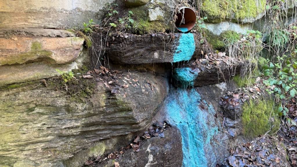 Kupfersulfat ist in Flumserberg SG von einem Bauernhof in den Ruslenbach geflossen. Glücklicherweise blieben Tiere und Pflanzen unversehrt.