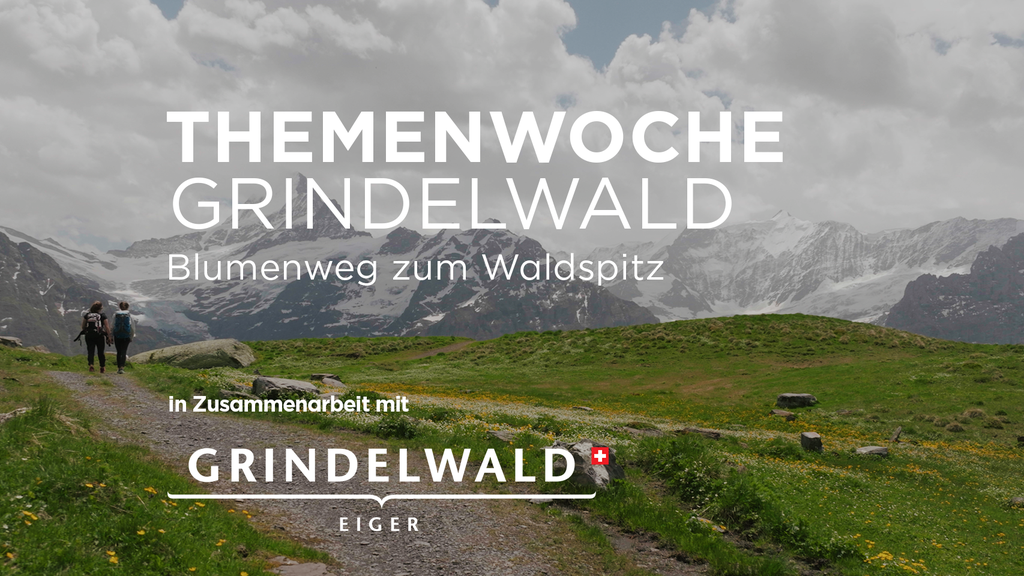 «Blumenweg zum Waldspitz»