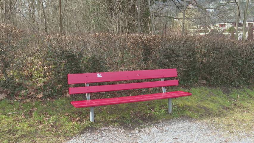 Beine ab: Zerstörte Skulptur in Weesen sorgt für Unmut