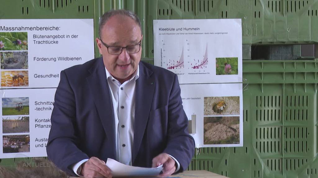 Bienenfreundliche Landwirtschaft: Was Aargauer Betriebe tun können