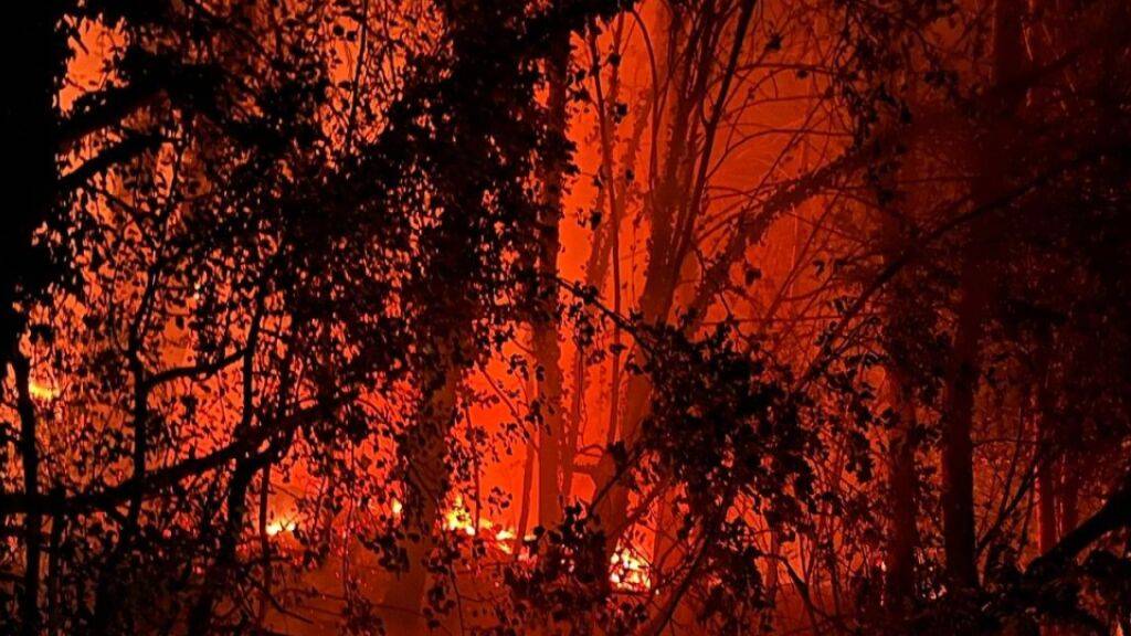 Etwa 250 Quadratmeter Waldrand gingen in Flanthey VS in Flammen auf.