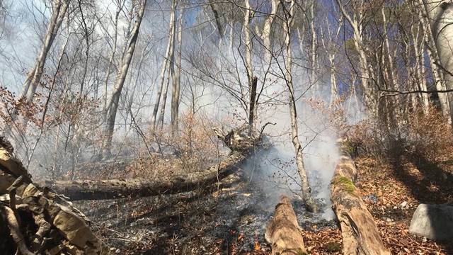 Mehrere Waldbrände im Februar