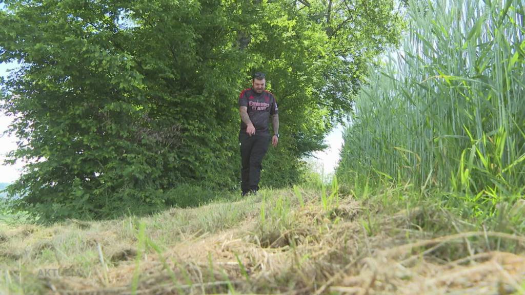 Wolf im Aargau: Andre Cunha erschrickt beim Anblick des Wolfs in Leuggern