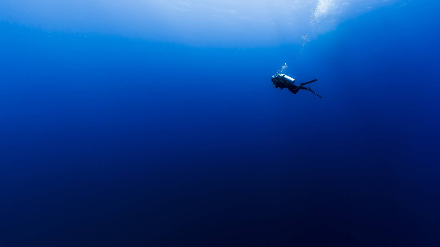 Taucher der Seepolizei fanden den 56-Jährigen in 38 Metern Tiefe. (Symbolbild)