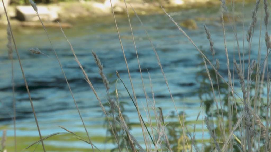 Rheintaler vor dem Hochwasser schützen