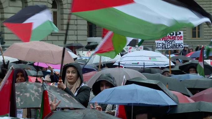 Mehrere Tausend Menschen demonstrieren für Palästina – mehrere Personenkontrollen