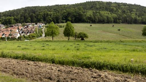 St. Galler Regierung will vorläufig keine grösseren Bauzonen