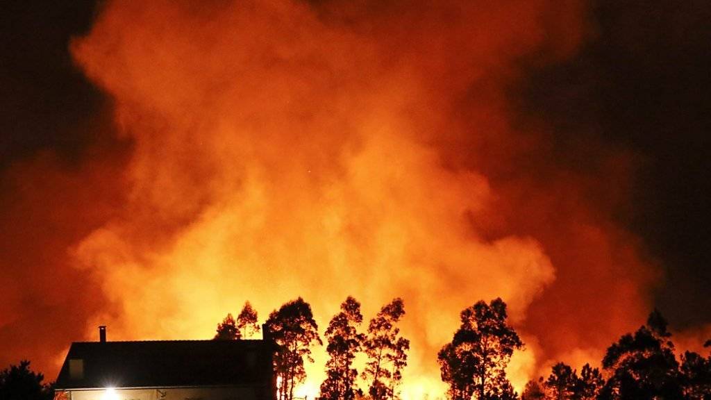 Die Feuer bedrohen zahlreiche Wohnhäuser, starke Winde erschweren das Löschen der Brände.