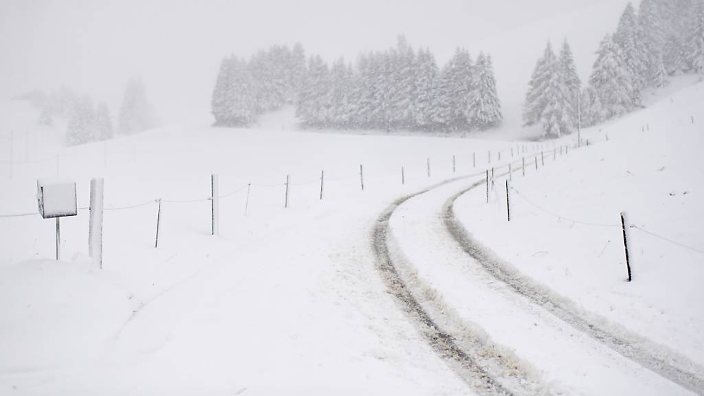 Schnee und Hudelwetter: Verschneite Landschaft in St. Margrethenberg SG.