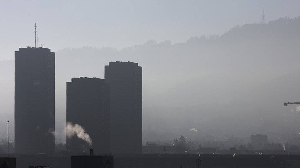 Ein französisches Gericht hat den französischen Staat für den Smog in Paris mitverantwortlich gemacht. Eine Frau und ihre Tochter, die wegen Atemwegproblemen geklagt hatten, bekamen Recht. Die Schadenersatzforderung der beiden wies das Gericht aber ab. (Symbolbild)