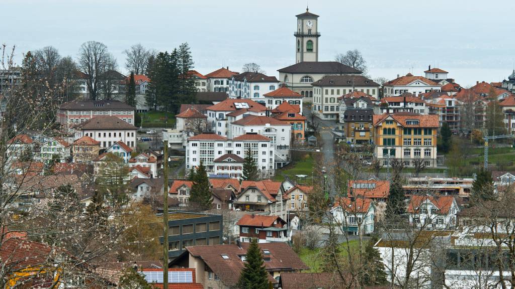 In Heiden beschädigten Hagelkörner am Donnerstag mehrere Autos. (Archivbild)