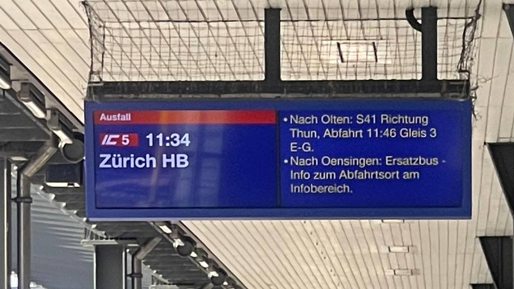 Zugausfall auf zwei Zugstrecken: Chaos auf Solothurner Schienennetz