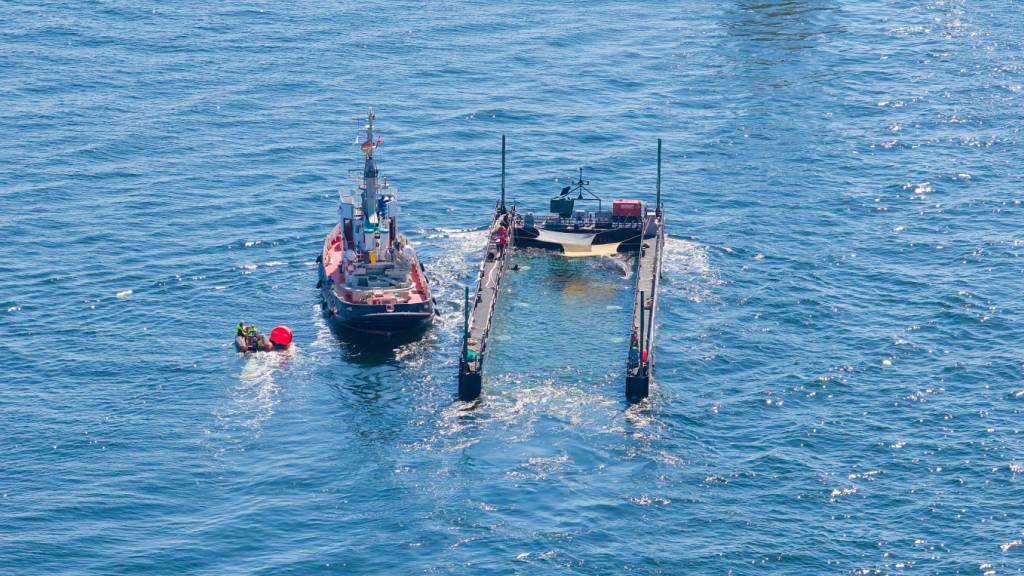 dpatopbilder - Das Schutznetz an der Barge, das den Buckelwal bei seinem Transport aus der Ostsee bislang vom offenen Wasser trennte, ist entfernt worden. Gleichzeitig wurde der Lastkahn sichtbar weiter geflutet. Foto: News5/Sebastian Peters/NEWS5/dpa