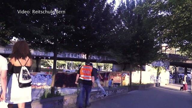 Razzia in Bern | TeleBaern