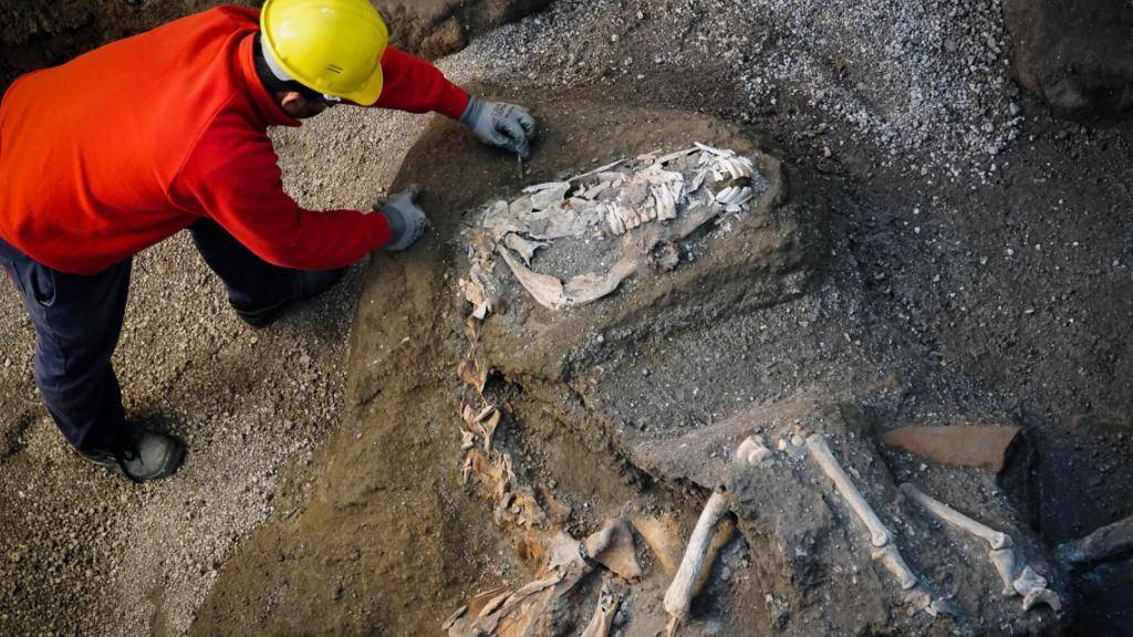 In der Nähe der antiken Stadt Pompeji haben Archäologen die Überreste eines Pferdes ausgegraben. Es ist bereits das dritte Pferd, das auf einem damaligen Landgut entdeckt wurde.