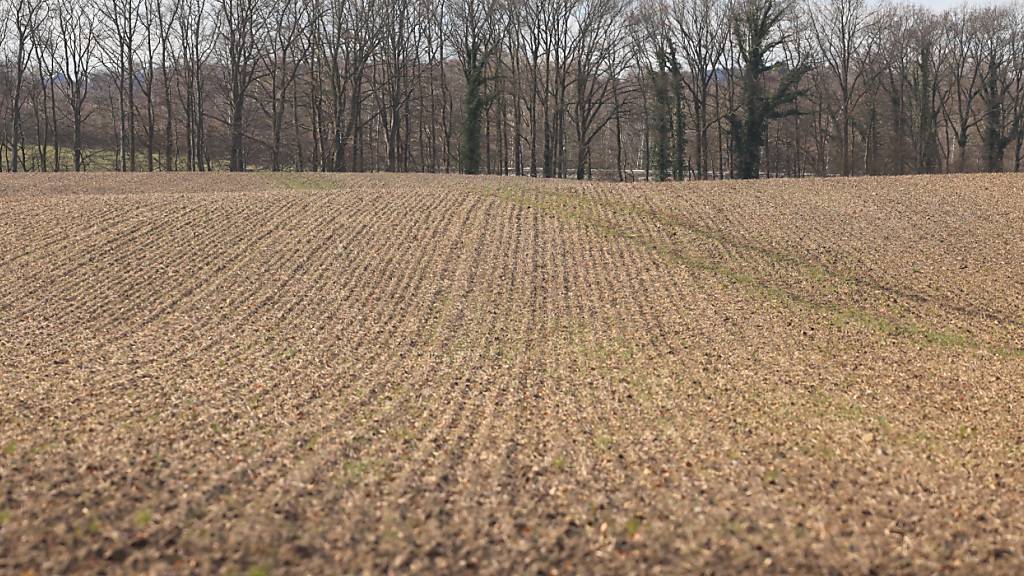 Ein Ackerboden im deutschen Bundesland Schleswig-Holstein. Geht es nach der EU, müssen die Böden gesünder werden. (Symbolbild)