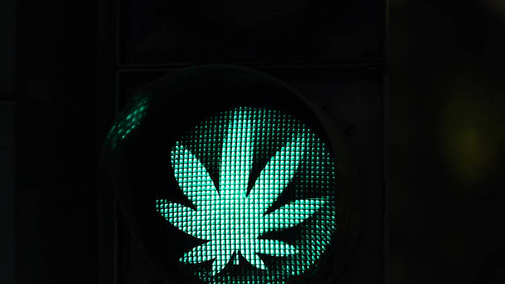 Die Cannabis-Legalisierung in Deutschland kann kommen. Das Bundeskabinett beschloss einen entsprechenden Gesetzesentwurf von Gesundheitsminister Lauterbach. Foto: Rolf Vennenbernd/dpa
