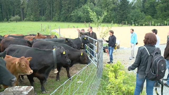 Weidschlachten - Biobauer geht neue Wege