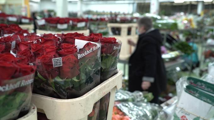 Rote Rosen zum Valentinstag: Hochbetrieb an der Blumenbörse Bern