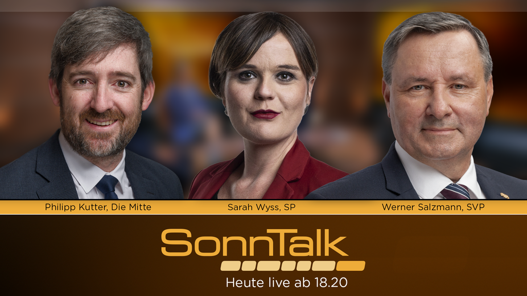 Feuerwerksinitiative, Kriegsmaterialgesetz und Plattformregulierung