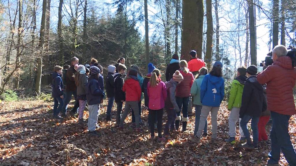 Schulklasse wurde zum „Tag des Waldes“ draussen unterrichtet